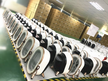 3D Magic Mirror Skin Testing Machine 9 Usługa ODM w języku obcym