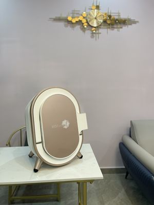 Profesjonalny analizator wilgoci, analizator wilgoci do twarzy dla lekarza terapeuta skóry CE Portable Easy Carring