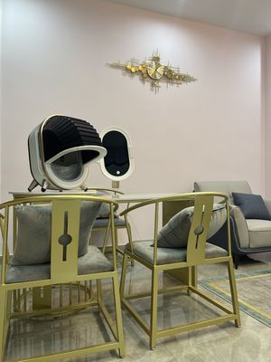 Dermoskopia Cyfrowa diagnostyka Przenośny analizator skóry Luxury Ochrona prywatności