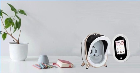 Lampa do drewna Smart Magic Mirror Maszyna do analizy skóry z ekranem dotykowym